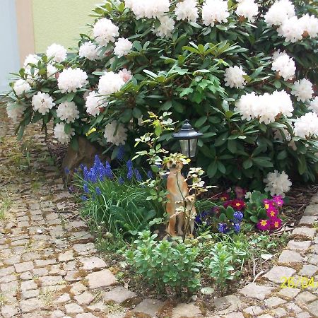 Giesis Wohlfuehloase Daire Döbeln Dış mekan fotoğraf