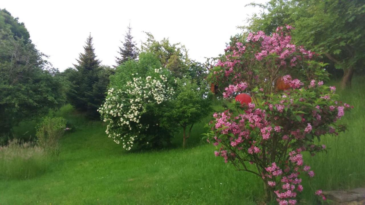 Giesis Wohlfuehloase Daire Döbeln Dış mekan fotoğraf