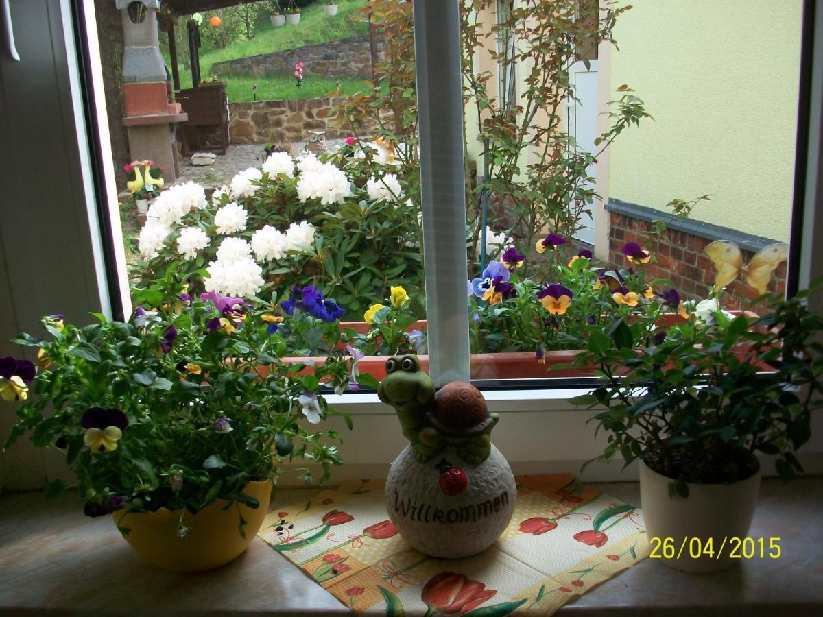 Giesis Wohlfuehloase Daire Döbeln Dış mekan fotoğraf